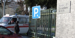 18 pessoas da Secundária transportadas ao hospital devido à lagarta do pinheiro